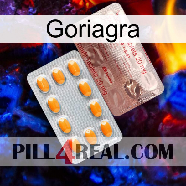 Goriagra new13.jpg